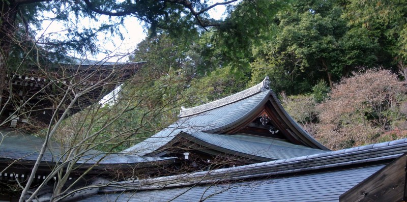 Rooftops Ryoan-ji Temple