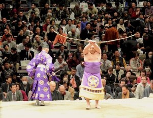 sumo#4
