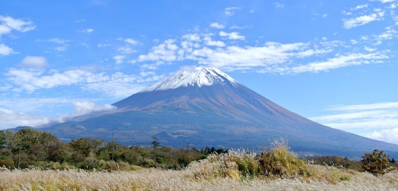 more fuji