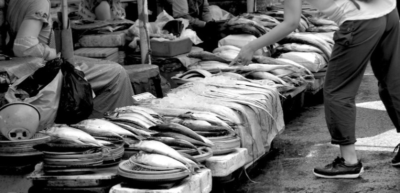 61afishmarket